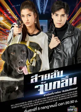 侦探K9国语