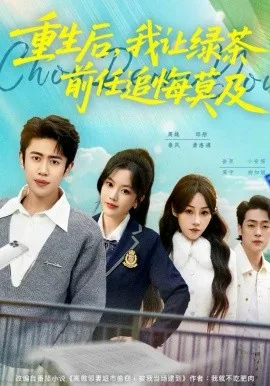 重生后,我让绿茶前任追悔莫及