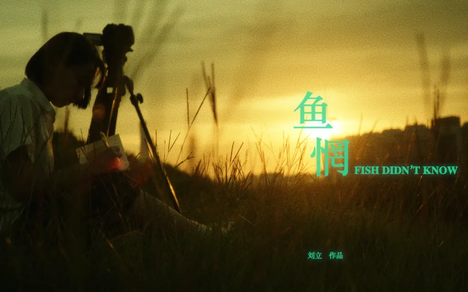 鱼惘