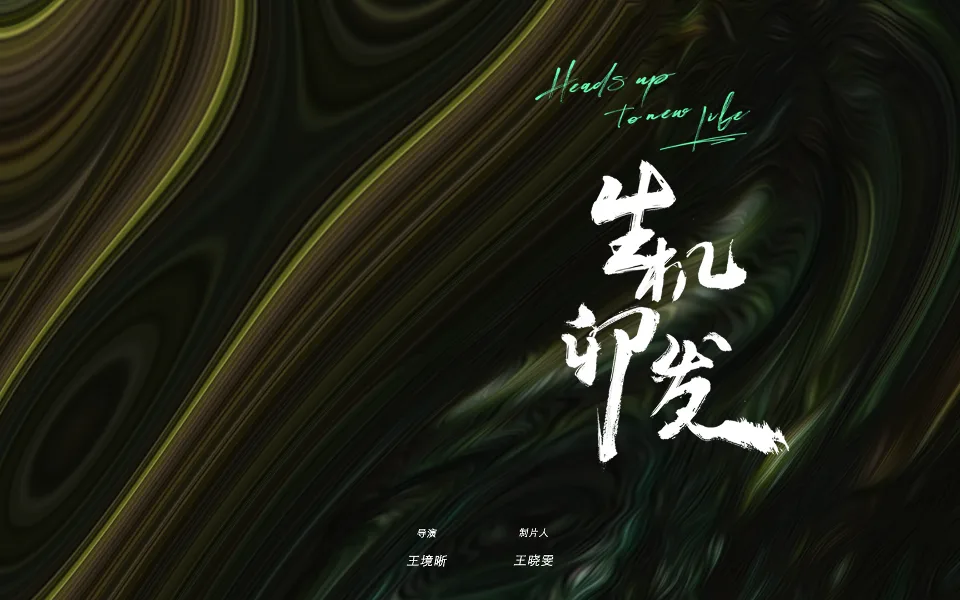 生机卯发