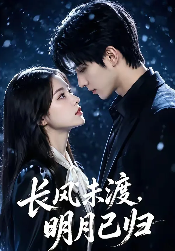 长风未渡,明月已归
