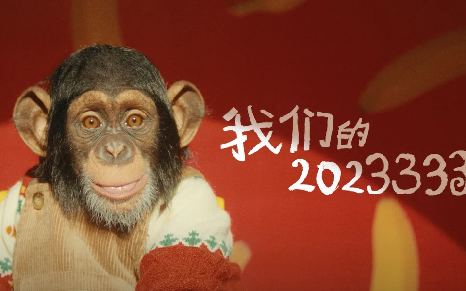 我们的2023333