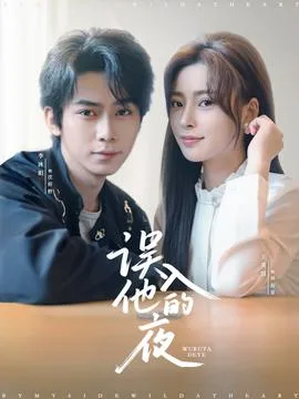 误入他的夜&烬夏危情
