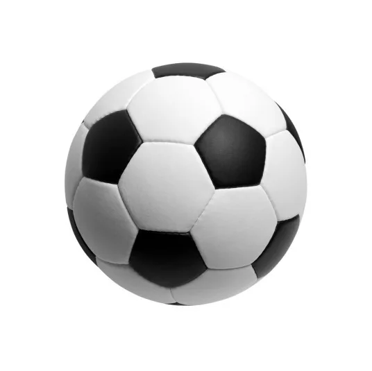4月5日 25-26赛季意甲第31轮 克雷莫内塞VS博洛尼亚